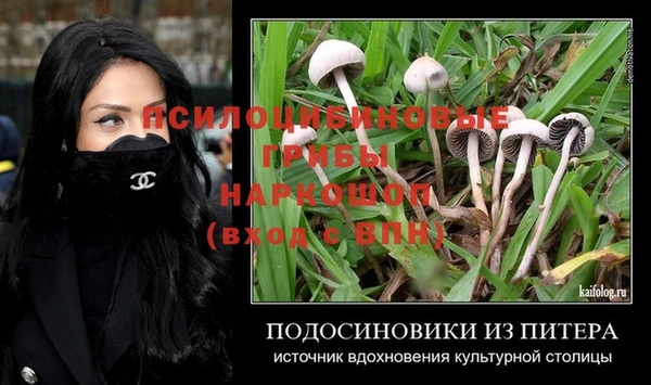 ешки Армянск