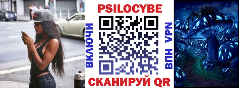 Псилоцибиновые грибы Psilocybe  Иннополис 